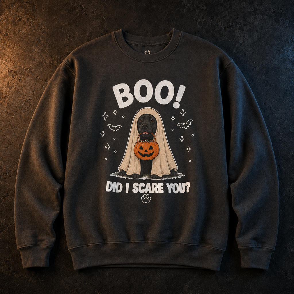 "Boo" Sudadera Unisex