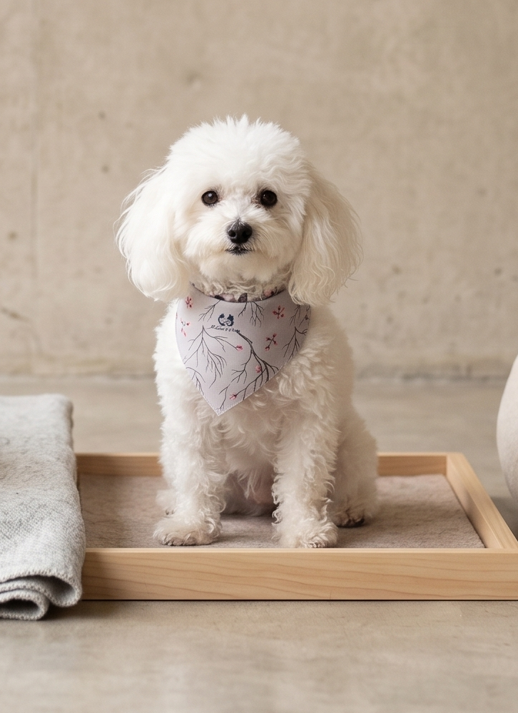 "Cherry" Pet Bandana
